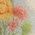 Color Swatch - Floral