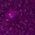 Color Swatch - Purple