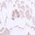 Color Swatch - White