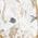 Color Swatch - Gold