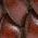 Color Swatch - Brown