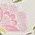 Color Swatch - Floral
