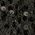 Color Swatch - Black
