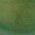 Color Swatch - Green