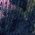 Color Swatch - Blue