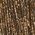 Color Swatch - Gold