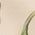 Color Swatch - Ivory