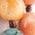 Color Swatch - Orange