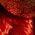 Color Swatch - Red