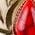 Color Swatch - Red