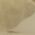 Color Swatch - Gold