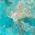 Color Swatch - Blue