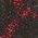 Color Swatch - Red