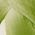 Color Swatch - Green