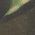 Color Swatch - Green