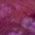 Color Swatch - Purple