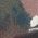 Color Swatch - Blue