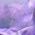 Color Swatch - Purple