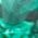 Color Swatch - Silver/Emerald/May