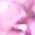 Color Swatch - Silver/Pink Sapphire