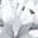 Color Swatch - Silver
