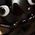Color Swatch - Black