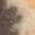 Color Swatch - Tan