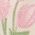 Color Swatch - Pink