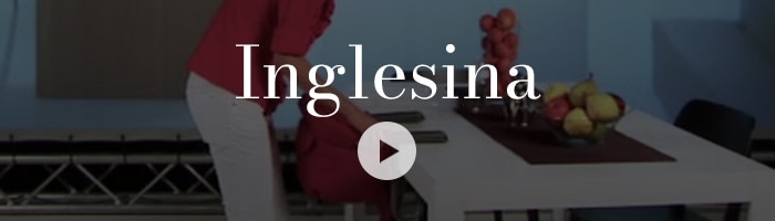 Inglesina Fast Table Chair Video