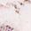 Color Swatch - Pink