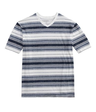 Roundtree & Yorke Striped V-Neck Tee