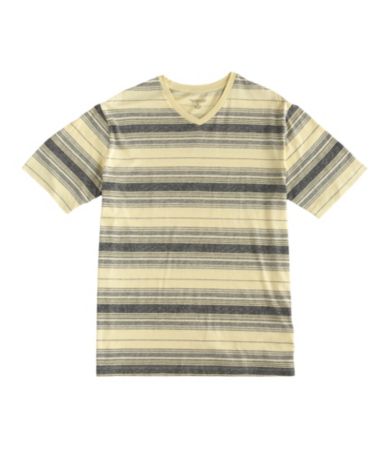 Roundtree & Yorke Striped V-Neck Tee