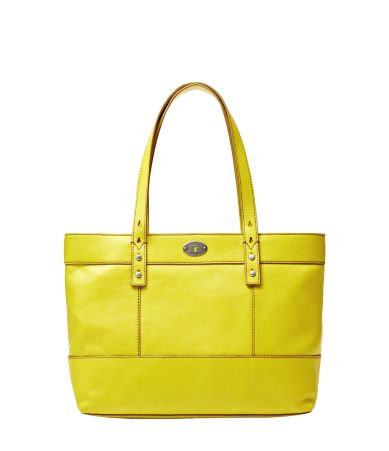 Fossil Hunter Shopper