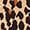 Color Swatch - Leopard