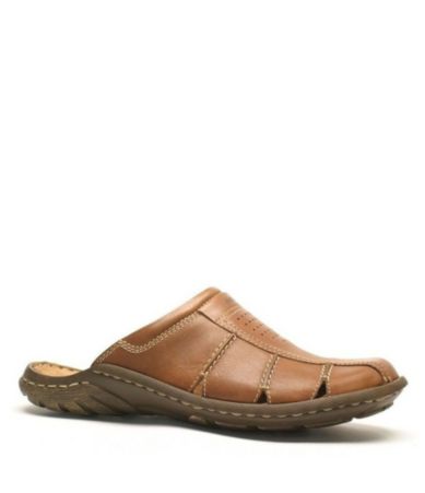 Josef Seibel : Shoes for Women, Men & Kids | Dillards