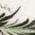 Color Swatch - Green