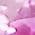 Color Swatch - Sterling Silver Pink Sapphire