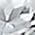 Color Swatch - Silver