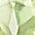 Color Swatch - Green