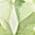 Color Swatch - Green