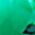 Color Swatch - Green