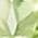 Color Swatch - Green