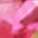 Color Swatch - Pink