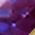 Color Swatch - Gold/Alexandrite