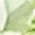 Color Swatch - 14K Gold/Peridot