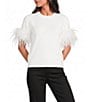 A Loves A Crew Neck Short Sleeve Feather Trim Sweater - Image 5