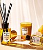 Acqua di Parma Luce di Colonia Candle, 7 oz. - Image 4