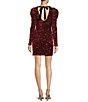 Color:Raspberry Punch - Image 2 - Sequin Crew Neck Long Puffed Sleeve Mini Dress