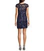 Color:Navy - Image 2 - Petite Size Cap Sleeve Boat Neck Embroidered Sequin Popover Sheath Dress