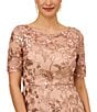 Color:Almondine - Image 3 - Petite Size Short Sleeve Crew Neck Sequin Embroidered Midi Dress